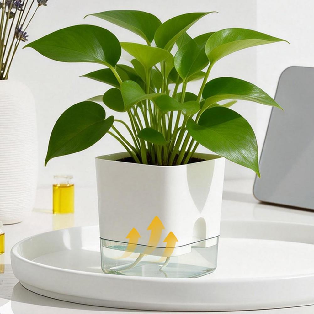 Aloe Vera Pot - Vasos de Flores com Rega Automática,