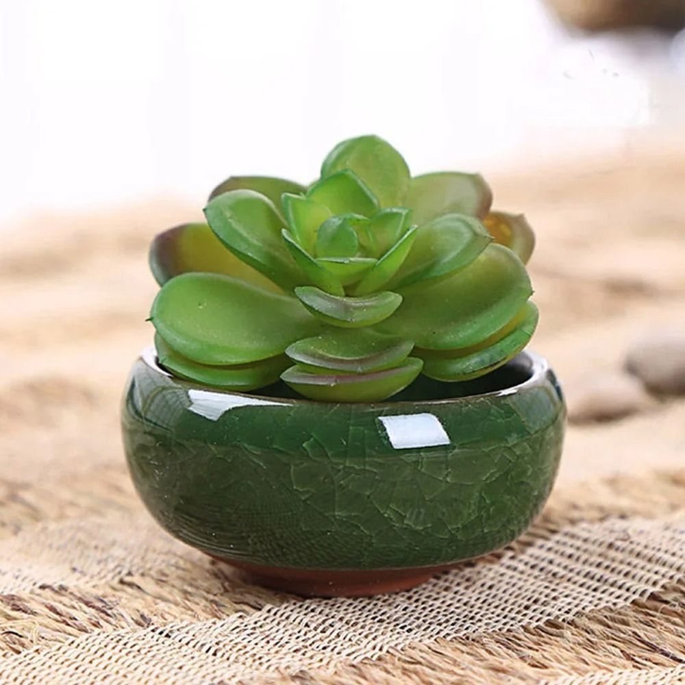 Aloe Vera Pot - Vaso de Cerâmica Respirável com Efeito