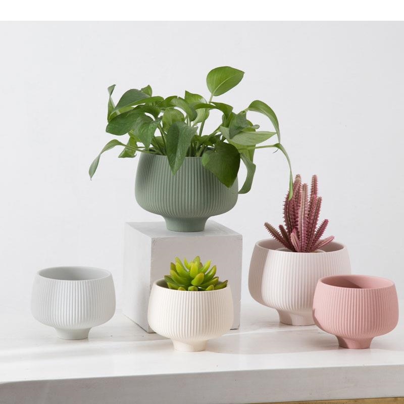 Aloe Vera Pot - Vaso de cerâmica com listras multicoloridas,