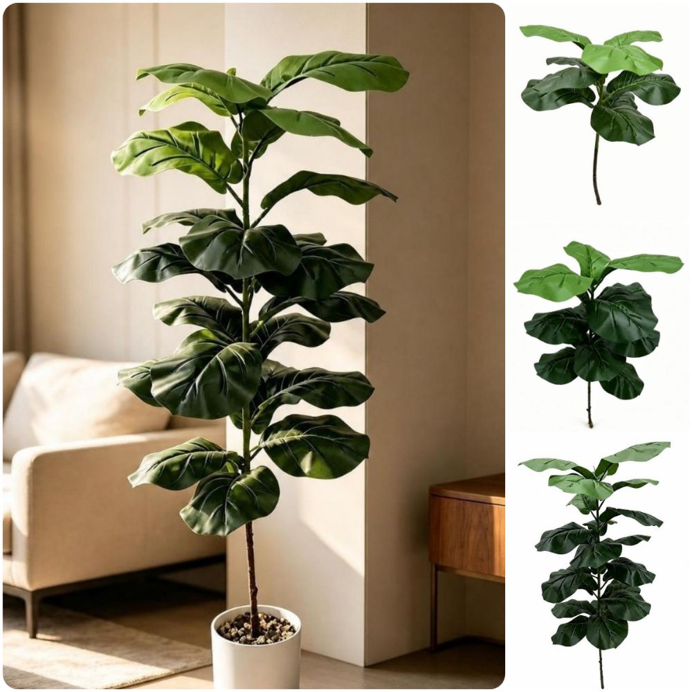 Ficus Lyrata Tree - 15/09/2023 Folhas Artificiais de Ficus Lyrata,