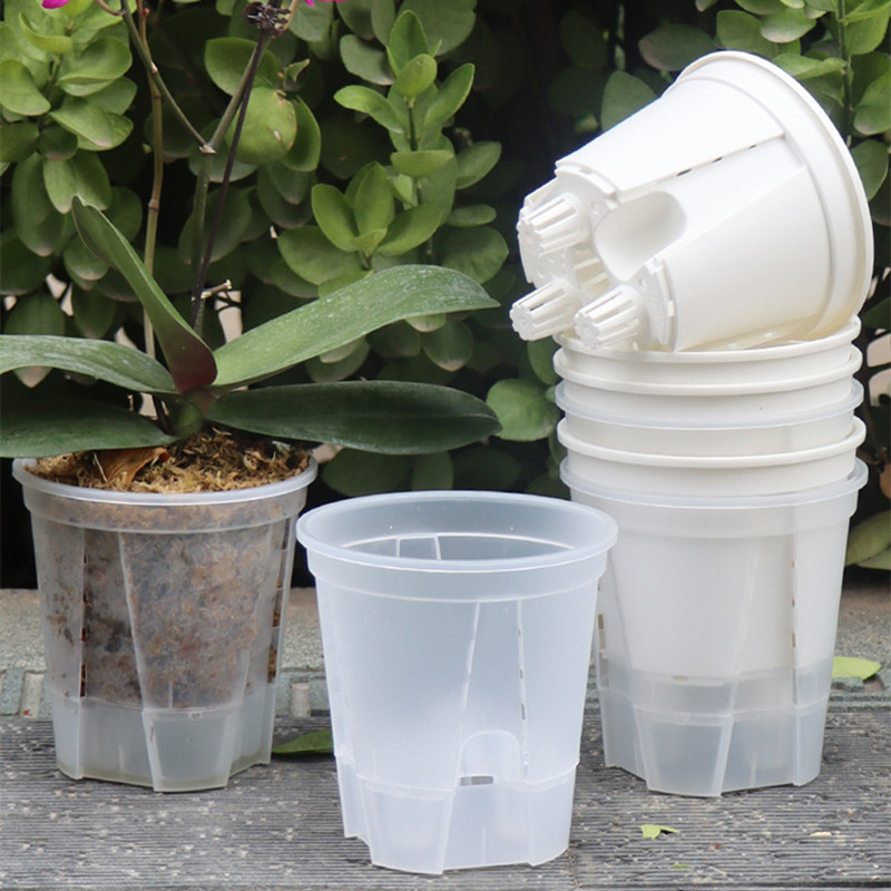 Aloe Vera Pot - Transparente Plastic Orchid Pot com Buracos,