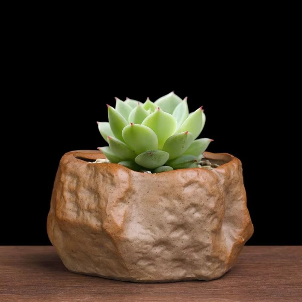 Vasos de cerâmica para plantas - Aloe Vera Pot avaliação e preço