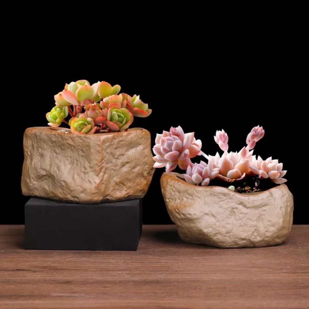 Vasos de cerâmica para plantas - Aloe Vera Pot avaliação e preço