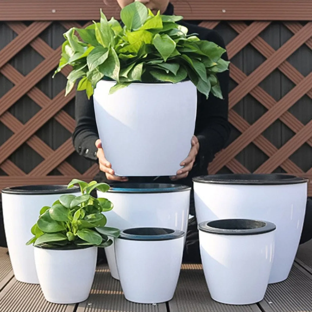 Vaso de flores preguiçoso auto - Aloe Vera Pot avaliação e preço