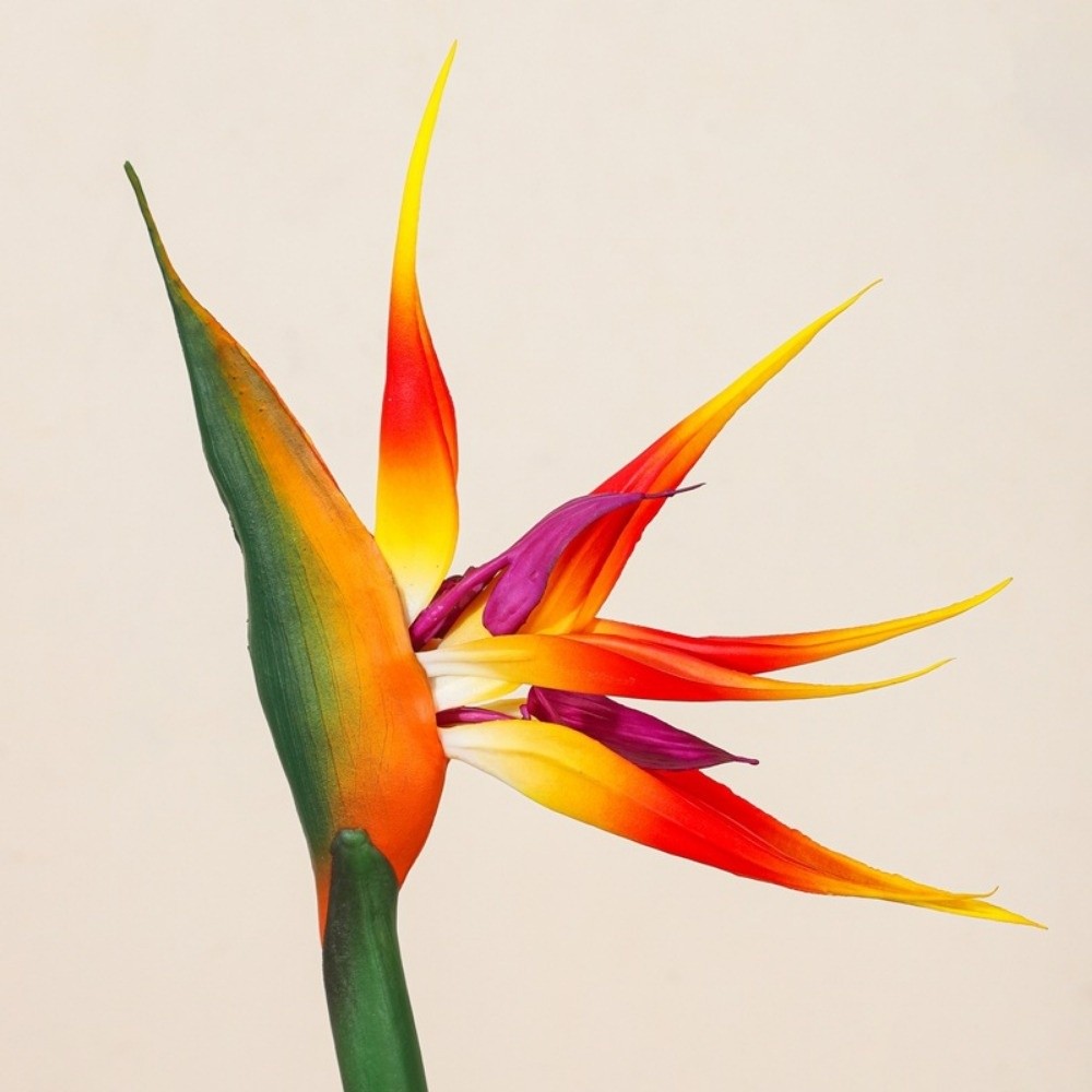 Nova Planta Artificial de Hast - Bird Paradise Strelitzia avaliação e preço