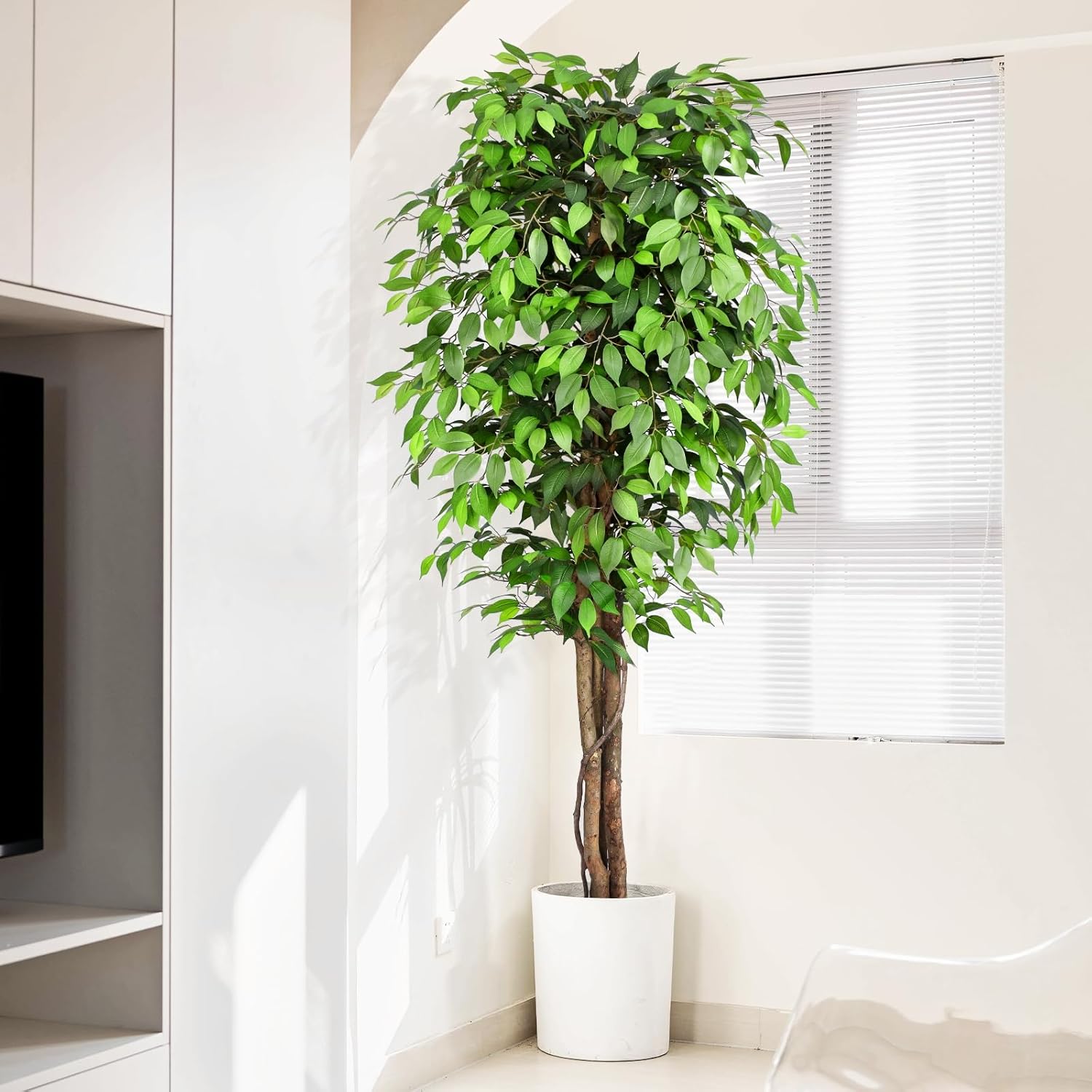 Árvore Ficus Artificial Realis - Ficus Lyrata Tree avaliação e preço