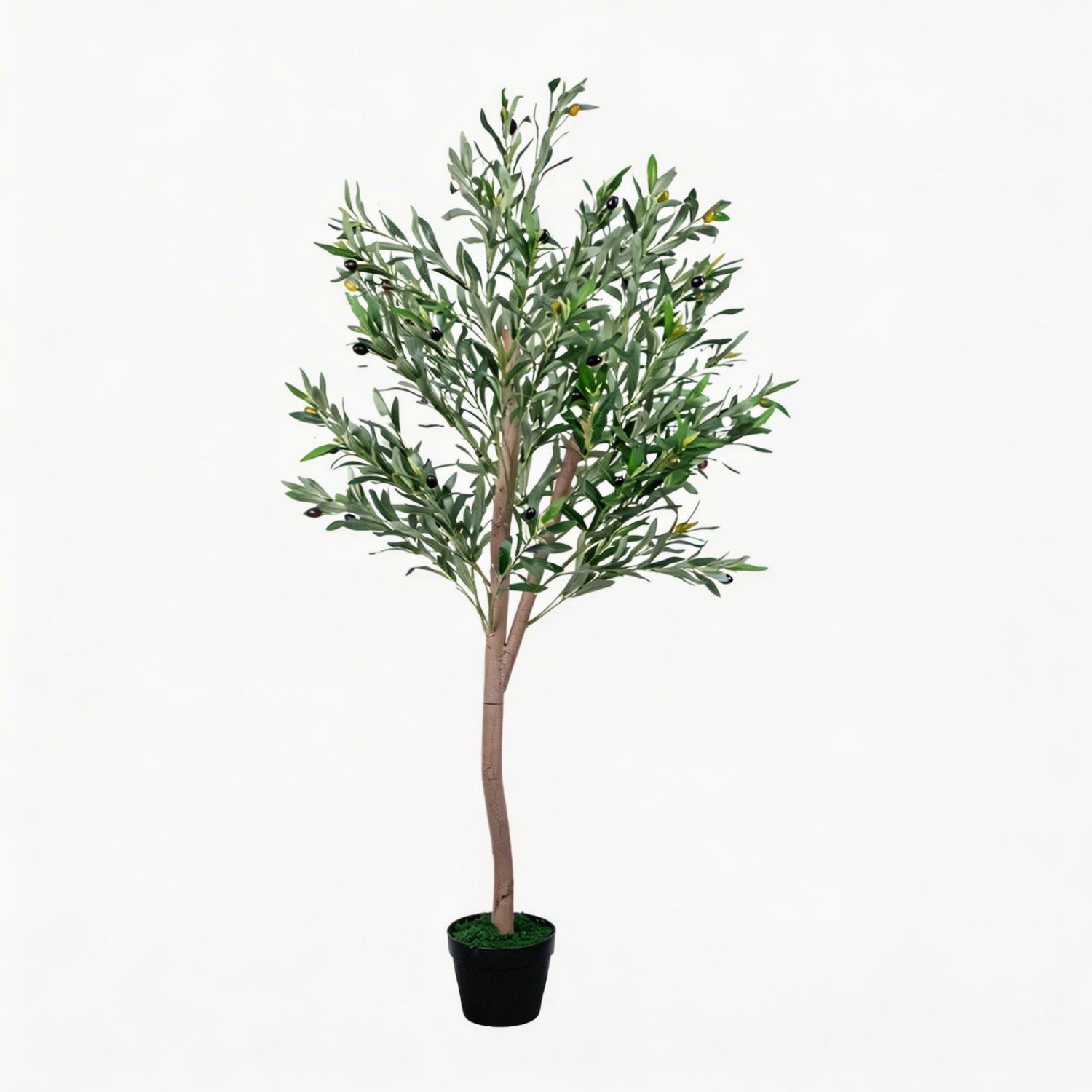 Árvore de Oliveira Artificial  - Dracaena Marginata avaliação e preço