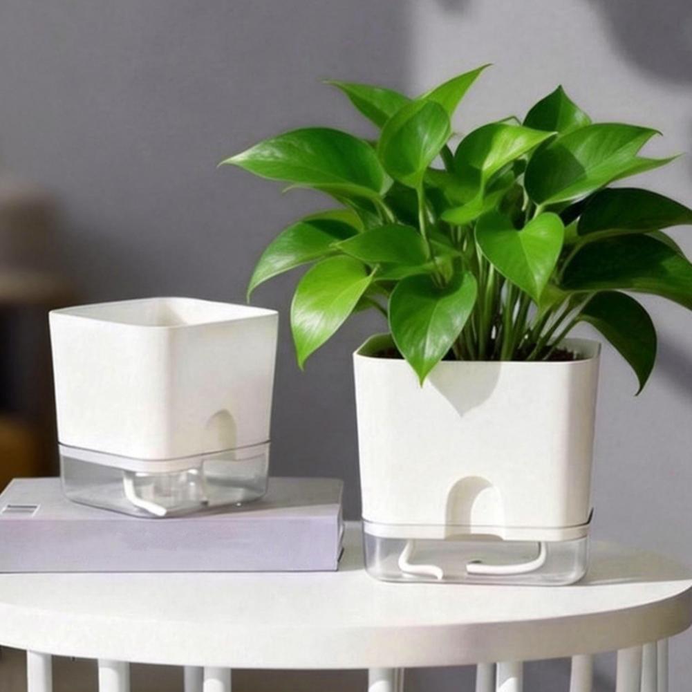 Vasos de Flores com Rega Autom - Aloe Vera Pot avaliação e preço