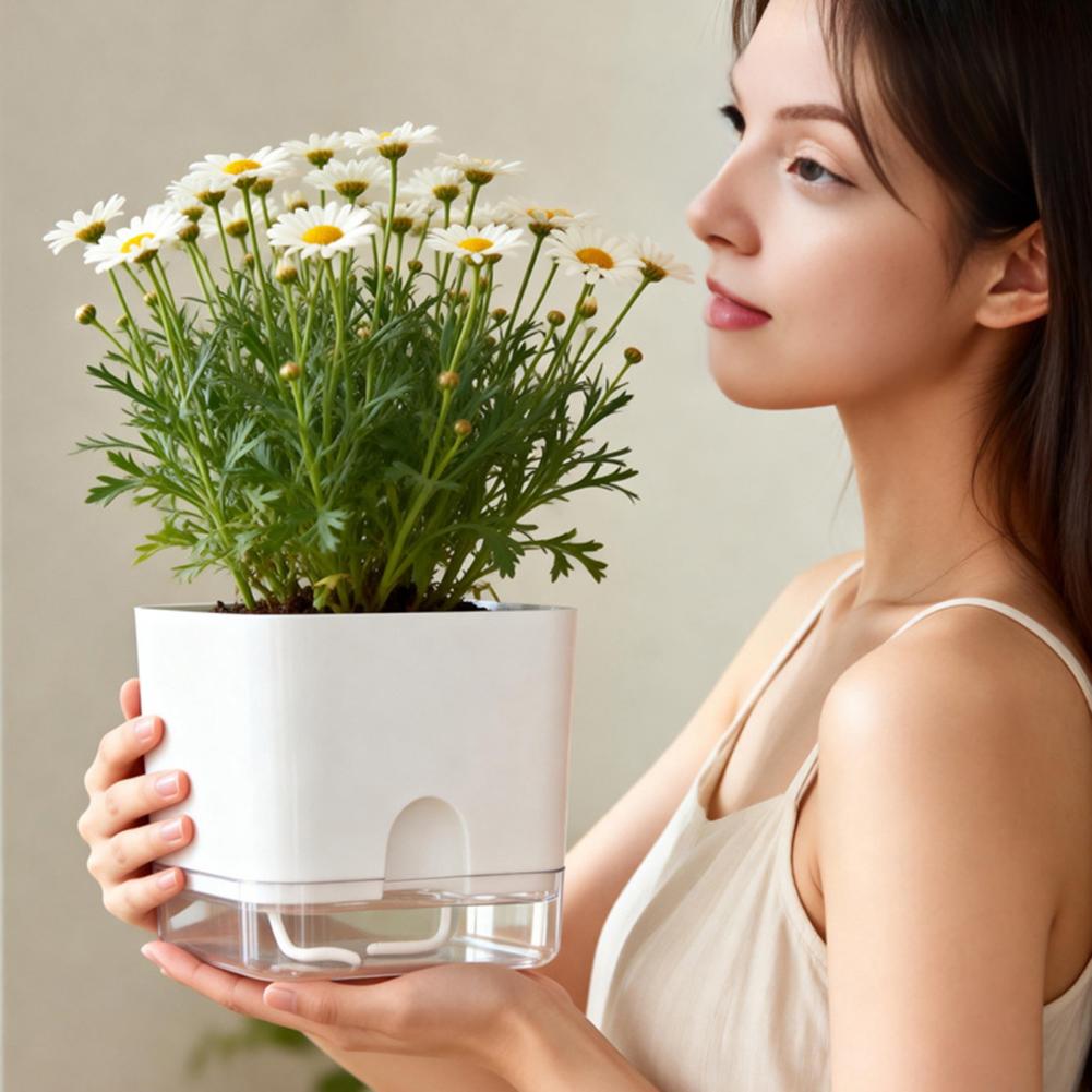 Vasos de Flores com Rega Autom - Aloe Vera Pot avaliação e preço