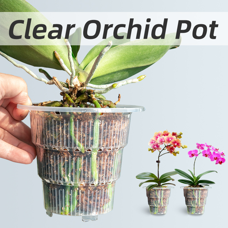 Vasos plásticos claros da orqu - Aloe Vera Pot avaliação e preço