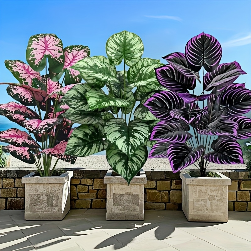 Conjunto de plantas verdes art - Monstera Adansonii avaliação e preço