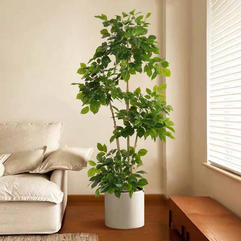 2-78in grandes plantas falsas  - Dracaena Marginata avaliação e preço