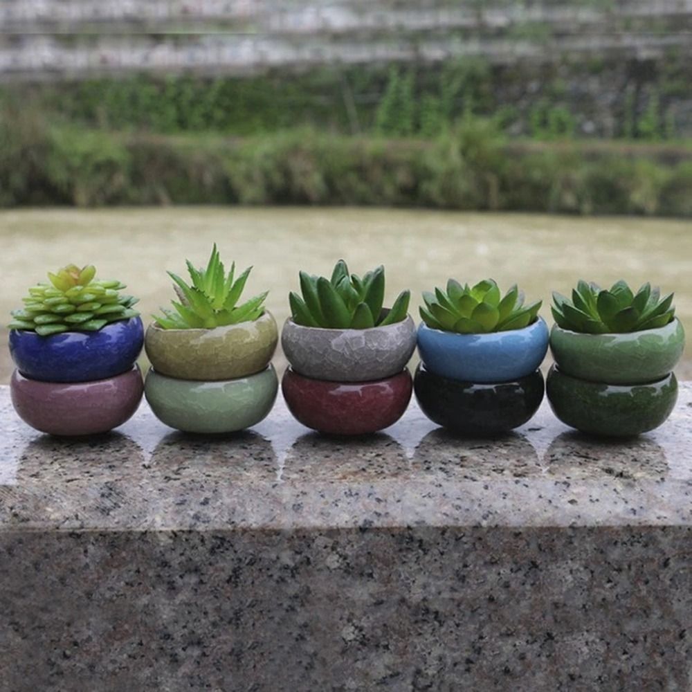 Vaso de Cerâmica Respirável co - Aloe Vera Pot avaliação e preço