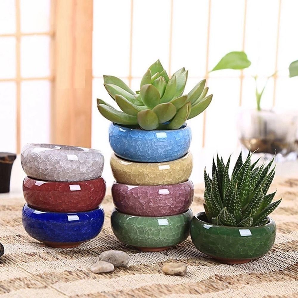 Vaso de Cerâmica Respirável co - Aloe Vera Pot avaliação e preço