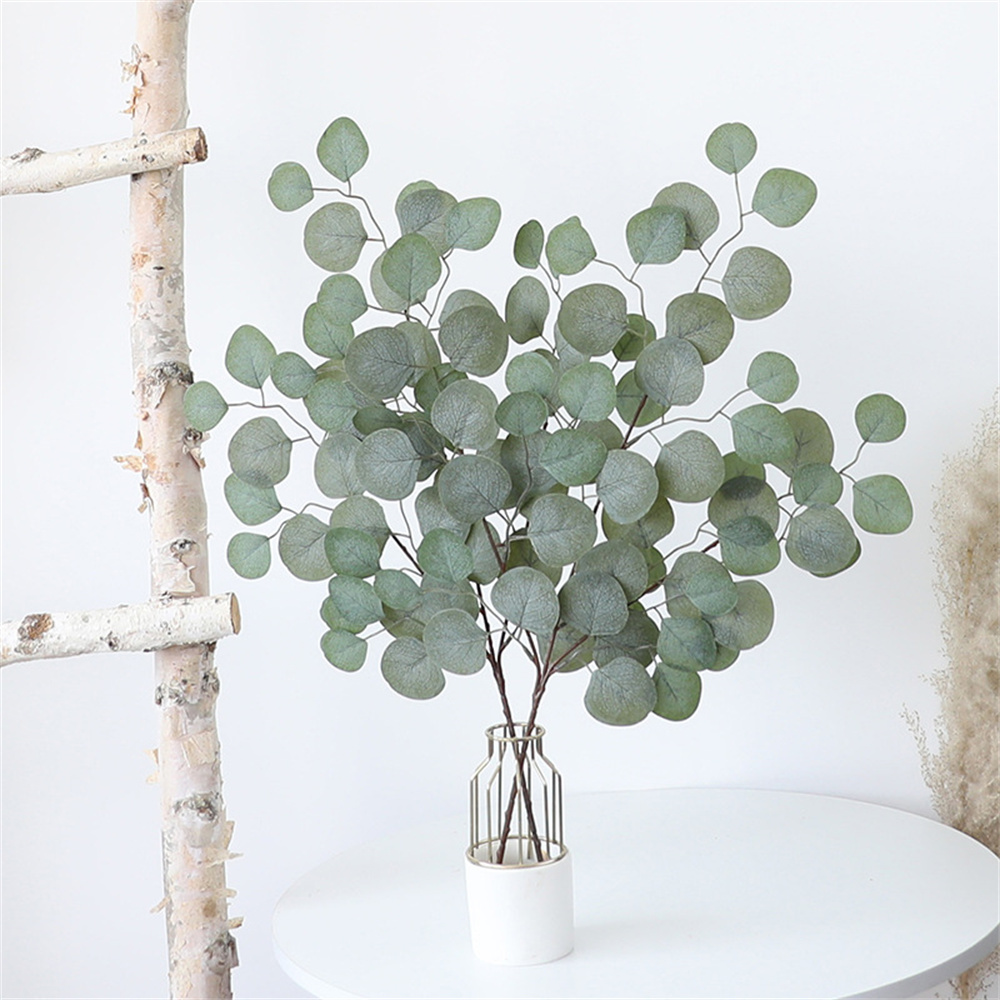 Eucalipto Folha Videira Planta - Dracaena Marginata avaliação e preço