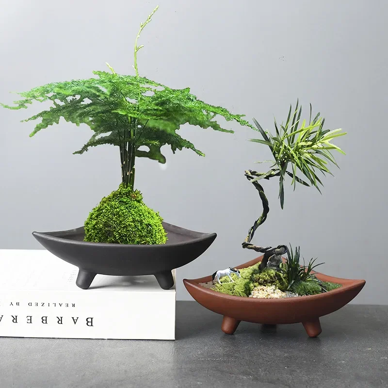 Vasos de cerâmica personalizad - Aloe Vera Pot avaliação e preço