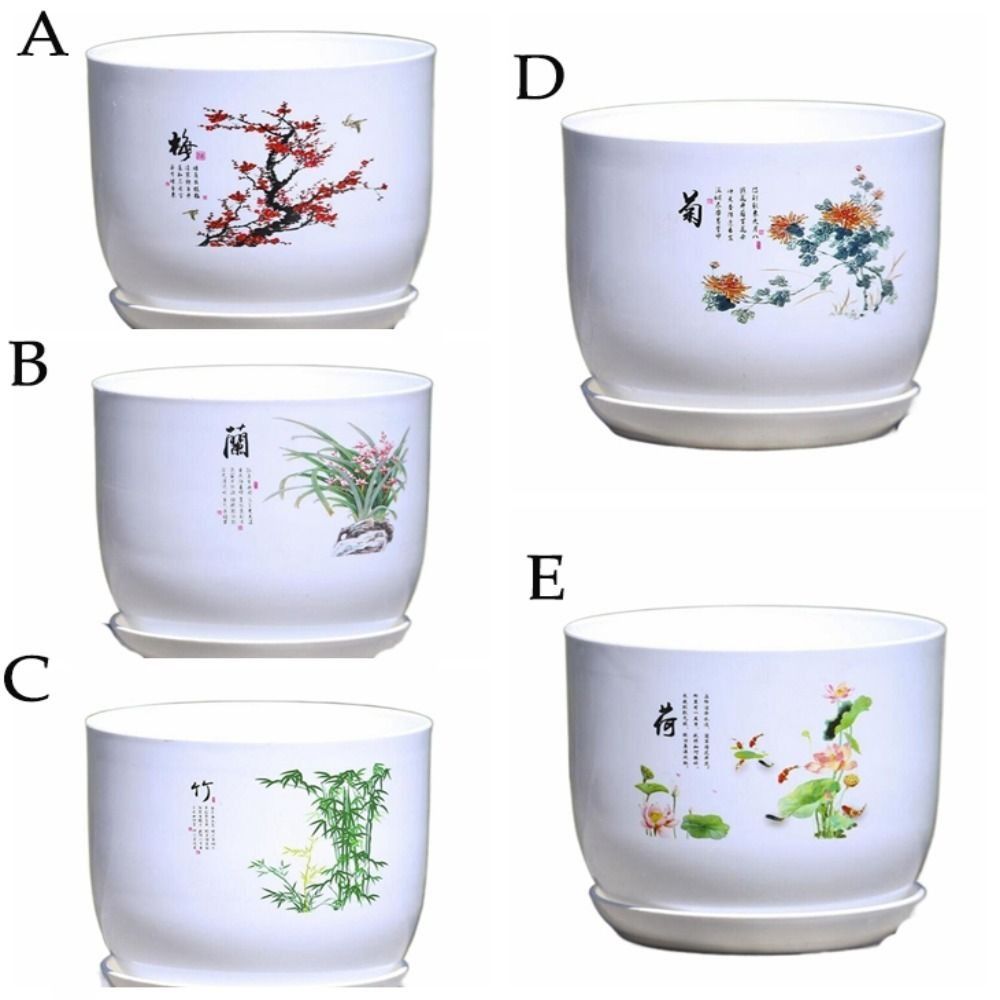 Vaso de Plástico Extra Grande  - Aloe Vera Pot avaliação e preço