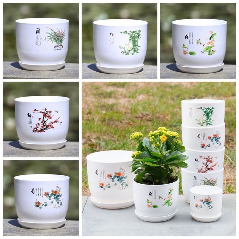 Vaso de Plástico Extra Grande  - Aloe Vera Pot avaliação e preço