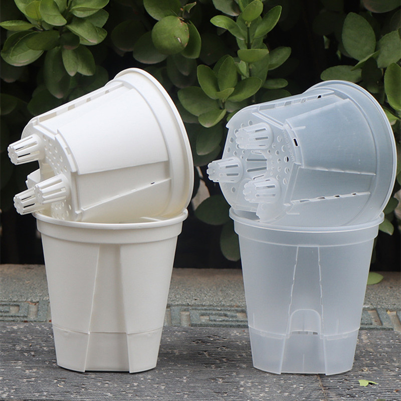 Transparente Plastic Orchid Po - Aloe Vera Pot avaliação e preço